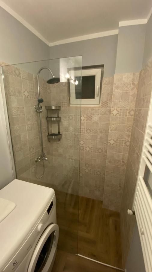 Dacia Apartment Timisoara Bagian luar foto