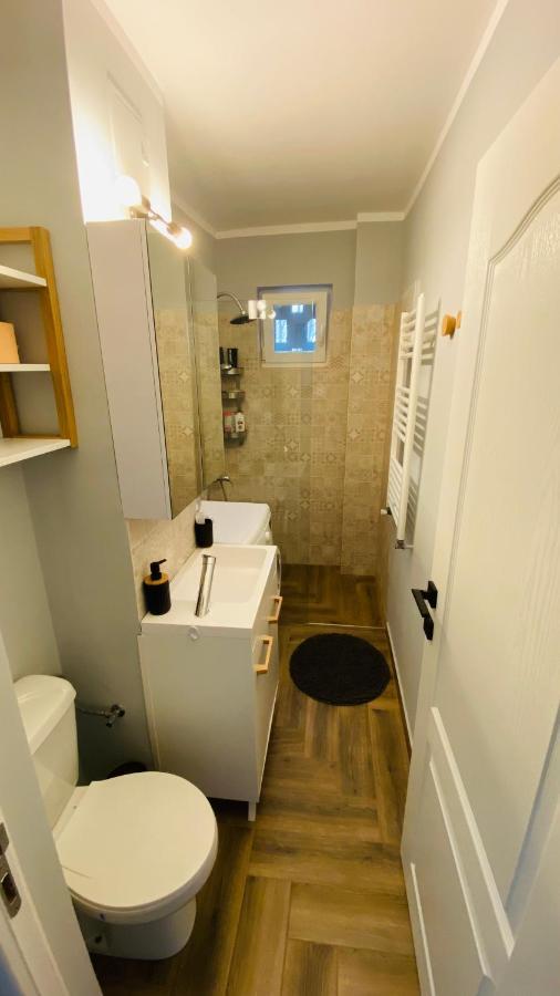 Dacia Apartment Timisoara Bagian luar foto