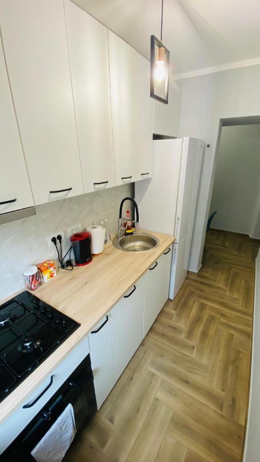 Dacia Apartment Timisoara Bagian luar foto